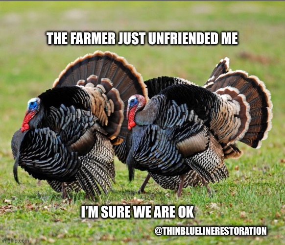 Turkey Day Coming | THE FARMER JUST UNFRIENDED ME; I’M SURE WE ARE OK; @THINBLUELINERESTORATION | image tagged in turkey day | made w/ Imgflip meme maker