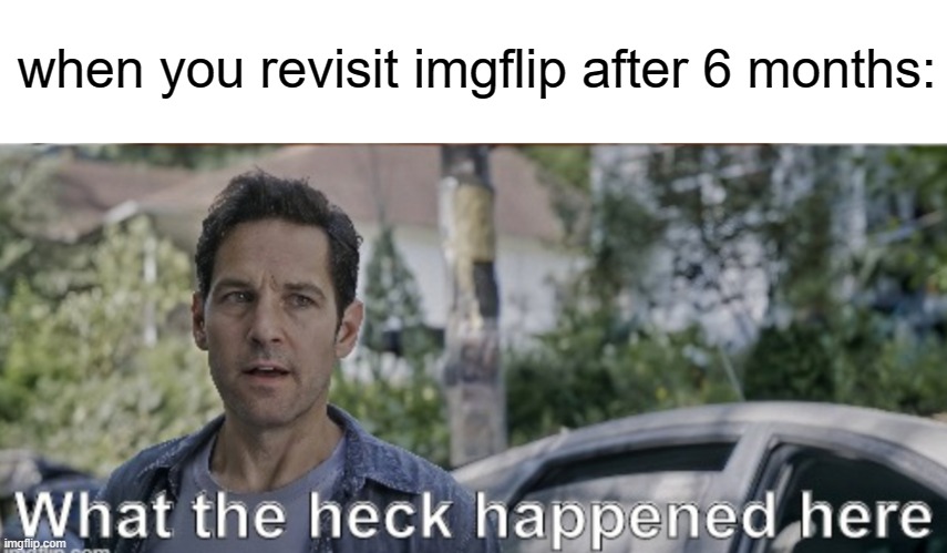 Any of you remember me? | when you revisit imgflip after 6 months: | image tagged in antman what the heck happened here,imgflip,visit | made w/ Imgflip meme maker