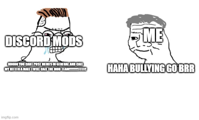 discord mod go brr | ME; DISCORD MODS; NOOOO YOU CANT POST MEMES IN GENERAL AND CALL MY KITTEN A MALE I WILL CALL THE MOD TEAM!!!!!!!!!11111! HAHA BULLYING GO BRR | image tagged in haha brrrrrrr | made w/ Imgflip meme maker