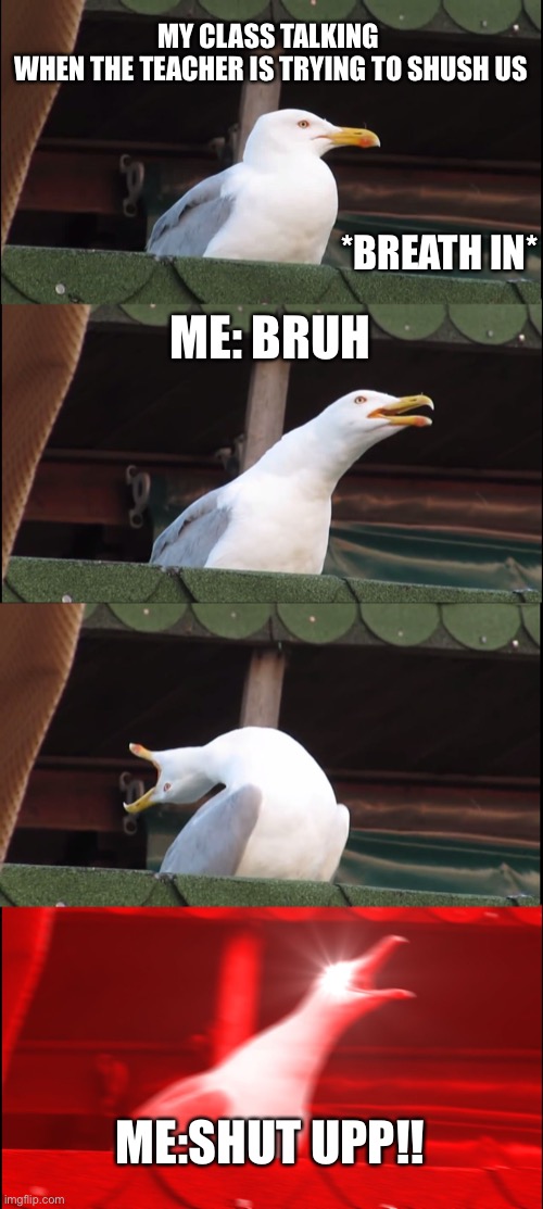 Seagul | MY CLASS TALKING
 WHEN THE TEACHER IS TRYING TO SHUSH US; *BREATH IN*; ME: BRUH; ME:SHUT UPP!! | image tagged in memes,inhaling seagull | made w/ Imgflip meme maker