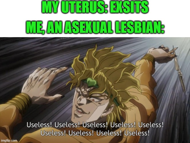 :) | MY UTERUS: EXSITS; ME, AN ASEXUAL LESBIAN: | image tagged in useless,lesbian,asexual | made w/ Imgflip meme maker