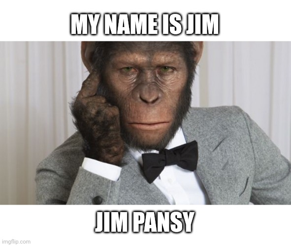 Jim Pansy | MY NAME IS JIM; JIM PANSY | image tagged in jim pansy | made w/ Imgflip meme maker