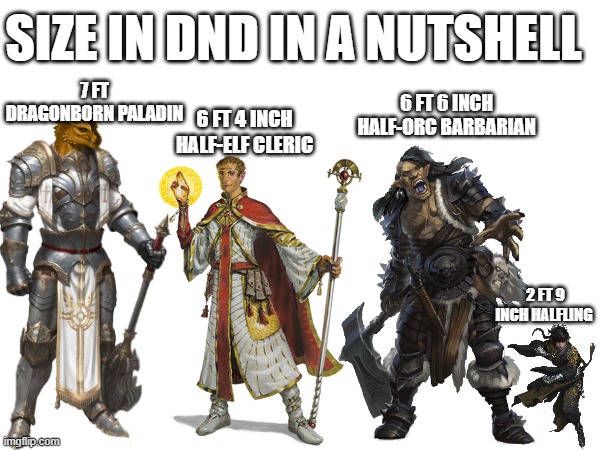 And yet, they still all control 5 feet in combat | SIZE IN DND IN A NUTSHELL; 7 FT DRAGONBORN PALADIN; 6 FT 6 INCH HALF-ORC BARBARIAN; 6 FT 4 INCH HALF-ELF CLERIC; 2 FT 9 INCH HALFLING | image tagged in dnd | made w/ Imgflip meme maker
