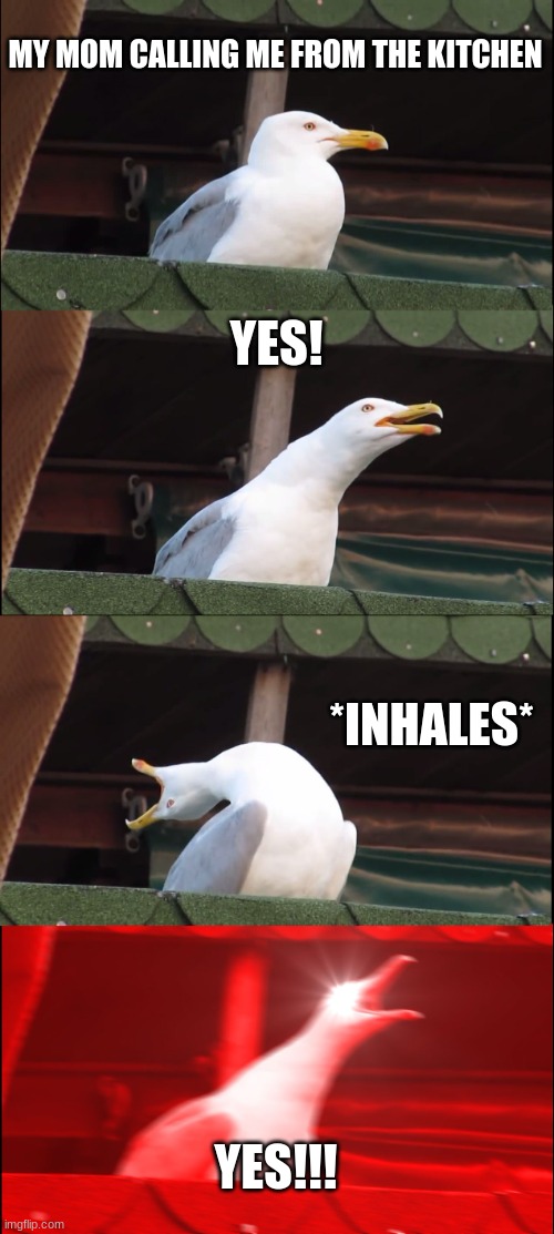 Inhaling Seagull | MY MOM CALLING ME FROM THE KITCHEN; YES! *INHALES*; YES!!! | image tagged in memes,inhaling seagull | made w/ Imgflip meme maker