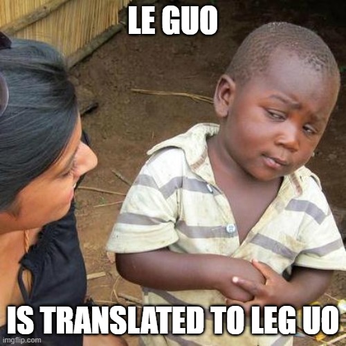 google translate on crack | LE GUO; IS TRANSLATED TO LEG UO | image tagged in memes,third world skeptical kid | made w/ Imgflip meme maker