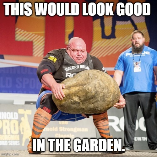 Strong man lifting meme | THIS WOULD LOOK GOOD; IN THE GARDEN. | image tagged in strong man lifting meme | made w/ Imgflip meme maker