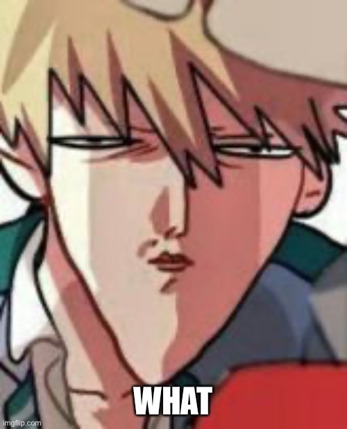 Bakugo WTF | WHAT | image tagged in bakugo wtf | made w/ Imgflip meme maker