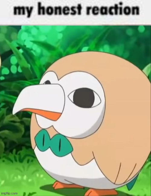 image tagged in my honest reaction,xatu rowlet | made w/ Imgflip meme maker