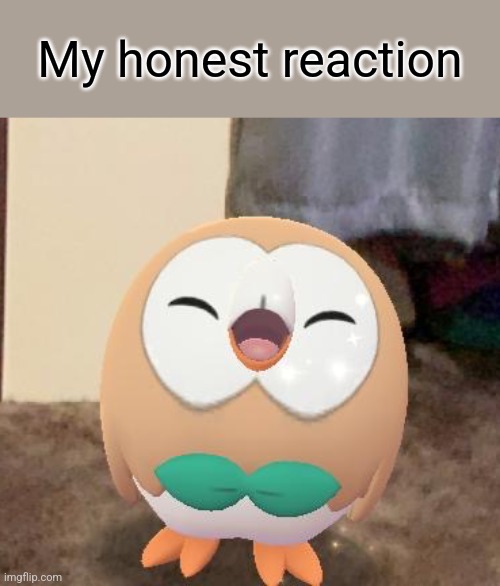 Happy Rowlet | My honest reaction | image tagged in happy rowlet | made w/ Imgflip meme maker
