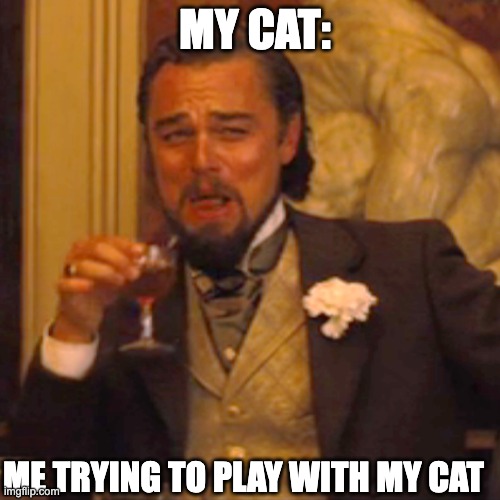 Laughing Leo | MY CAT:; ME TRYING TO PLAY WITH MY CAT | image tagged in memes,laughing leo | made w/ Imgflip meme maker