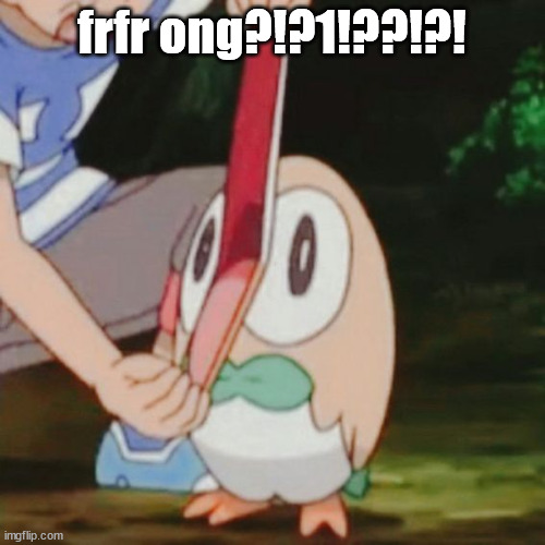 re | frfr ong?!?1!??!?! | image tagged in mouth wide open rowlet | made w/ Imgflip meme maker