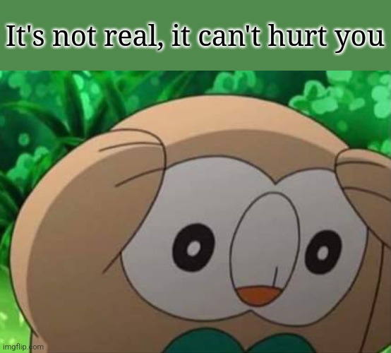 Distressed Rowlet | It's not real, it can't hurt you | image tagged in distressed rowlet | made w/ Imgflip meme maker