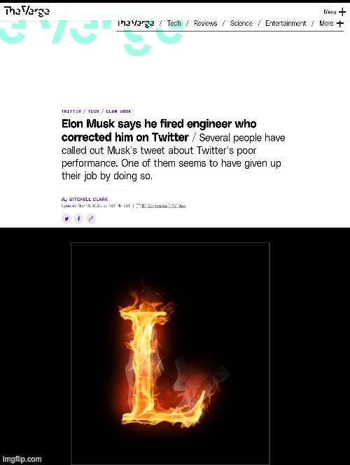 Imagine getting fired by Elon | image tagged in double long black template,dude,donald trump you're fired | made w/ Imgflip meme maker