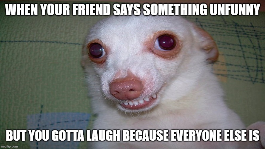  WHEN YOUR FRIEND SAYS SOMETHING UNFUNNY; BUT YOU GOTTA LAUGH BECAUSE EVERYONE ELSE IS | image tagged in dog memes,memes | made w/ Imgflip meme maker