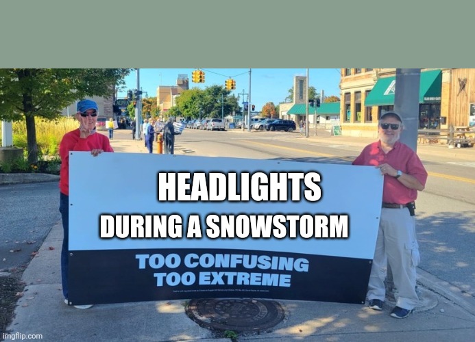 Too Confusing, Too Extreme | HEADLIGHTS; DURING A SNOWSTORM | image tagged in too confusing too extreme | made w/ Imgflip meme maker