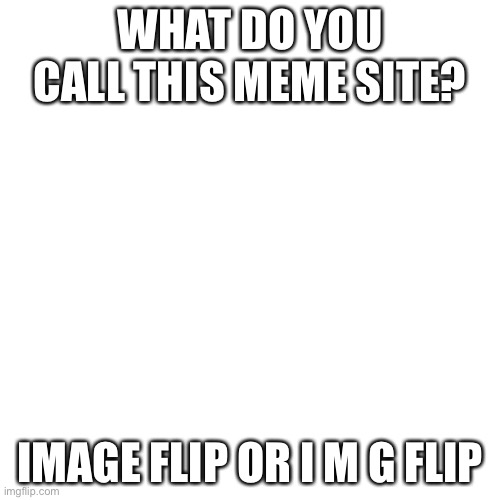 Blank Transparent Square | WHAT DO YOU CALL THIS MEME SITE? IMAGE FLIP OR I M G FLIP | image tagged in memes,blank transparent square | made w/ Imgflip meme maker