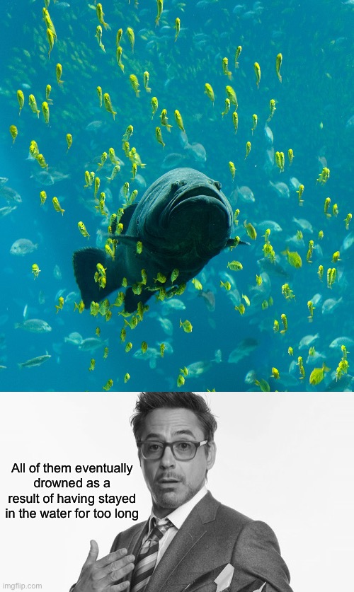 All of them eventually drowned as a result of having stayed in the water for too long | image tagged in robert downey jr's comments | made w/ Imgflip meme maker