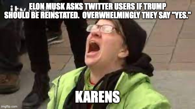 Karens Hate Trump On Twitter | ELON MUSK ASKS TWITTER USERS IF TRUMP SHOULD BE REINSTATED.  OVERWHELMINGLY THEY SAY "YES."; KARENS | image tagged in karens,donald trump,trump twitter | made w/ Imgflip meme maker