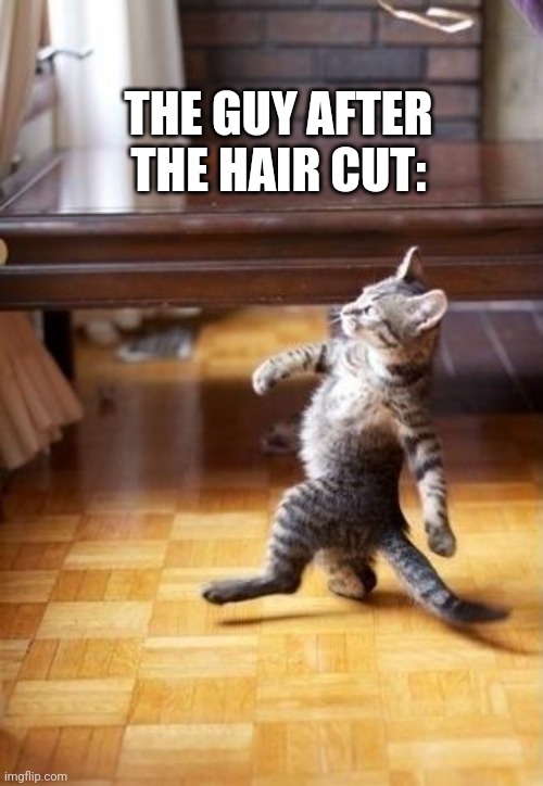 Cool Cat Stroll Meme | THE GUY AFTER THE HAIR CUT: | image tagged in memes,cool cat stroll | made w/ Imgflip meme maker