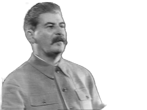 Stalin: are you a stupid capitalist? Blank Meme Template