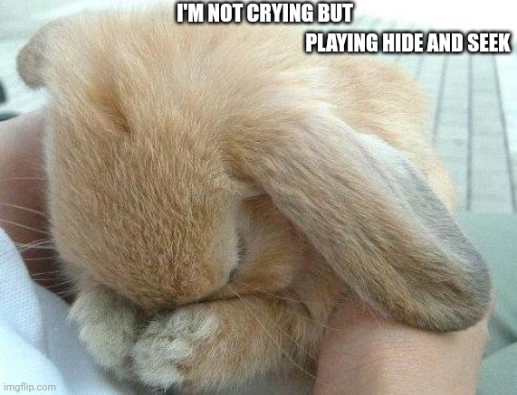 you make bunny cry | I'M NOT CRYING BUT; PLAYING HIDE AND SEEK | image tagged in you make bunny cry | made w/ Imgflip meme maker