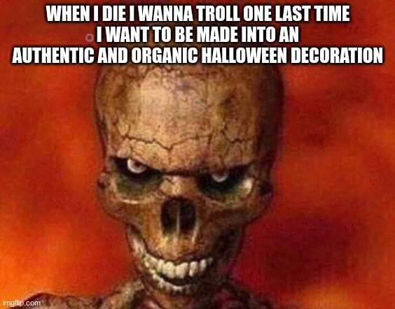 sketelon | WHEN I DIE I WANNA TROLL ONE LAST TIME
I WANT TO BE MADE INTO AN AUTHENTIC AND ORGANIC HALLOWEEN DECORATION | image tagged in sketelon | made w/ Imgflip meme maker