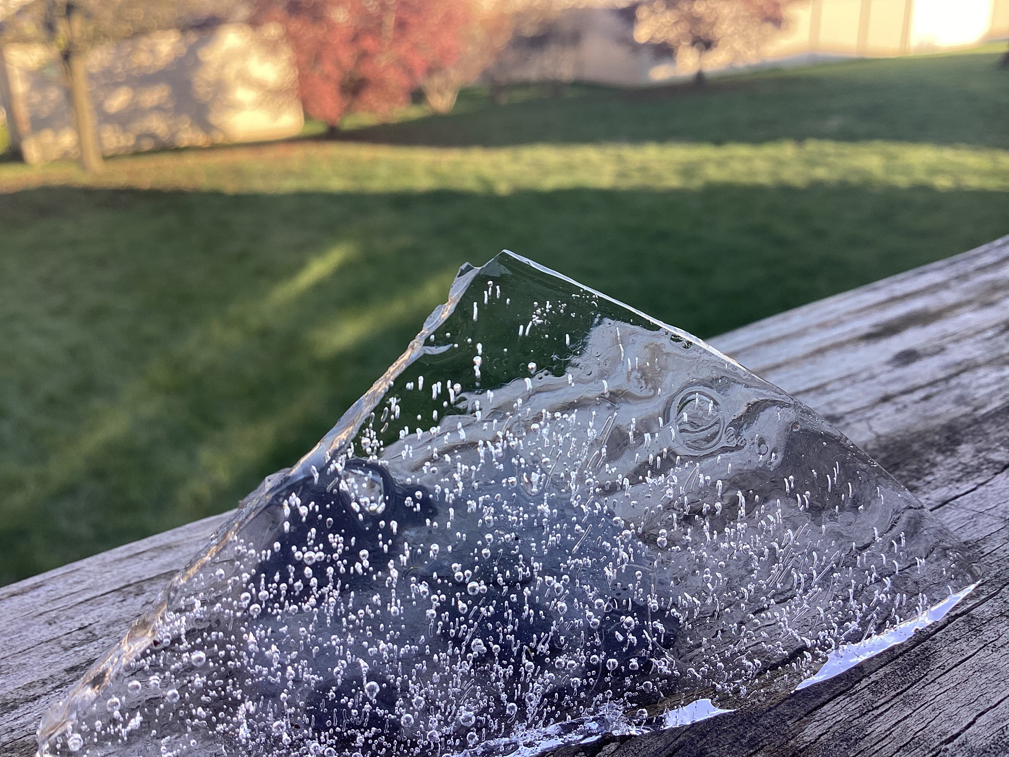 Slab of ice | image tagged in share your own photos | made w/ Imgflip meme maker