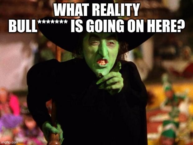 wicked witch  | WHAT REALITY BULL******* IS GOING ON HERE? | image tagged in wicked witch | made w/ Imgflip meme maker