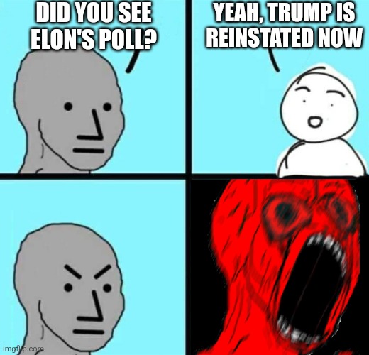 Liberals: allowing people to have a say is fascism | DID YOU SEE ELON'S POLL? YEAH, TRUMP IS
REINSTATED NOW | image tagged in angry npc wojack rage,democrats,liberals,twitter | made w/ Imgflip meme maker