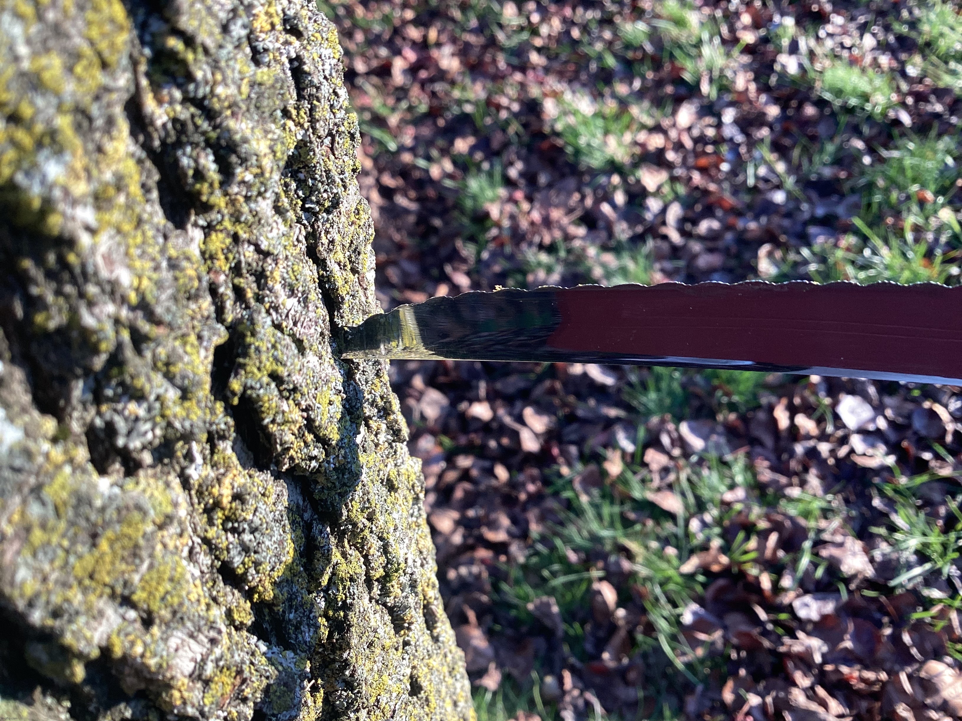 Knife in tree | image tagged in share your own photos | made w/ Imgflip meme maker