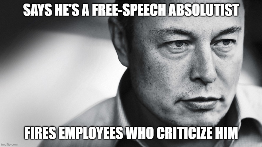 Elon musk | SAYS HE'S A FREE-SPEECH ABSOLUTIST; FIRES EMPLOYEES WHO CRITICIZE HIM | image tagged in elon musk | made w/ Imgflip meme maker