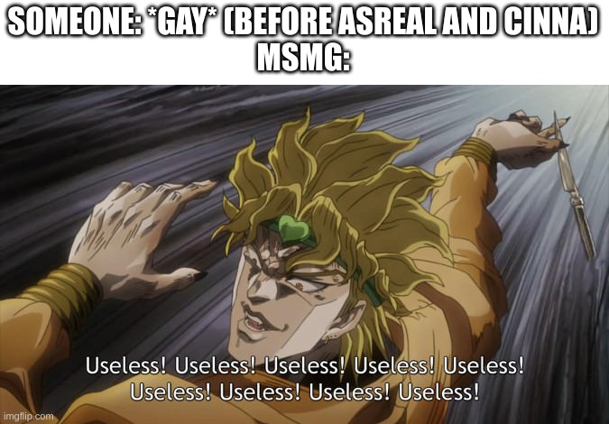 USELESS | SOMEONE: *GAY* (BEFORE ASREAL AND CINNA)
MSMG: | image tagged in useless | made w/ Imgflip meme maker
