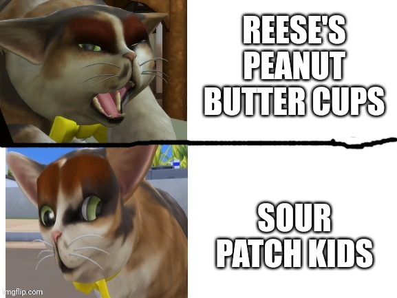 Yes | REESE'S PEANUT BUTTER CUPS; SOUR PATCH KIDS | image tagged in spleens drake template | made w/ Imgflip meme maker