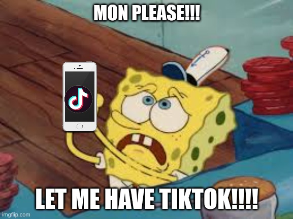 mOmMY CAn I hAve TiKtOk? | MON PLEASE!!! LET ME HAVE TIKTOK!!!! | image tagged in spongebob pleading | made w/ Imgflip meme maker