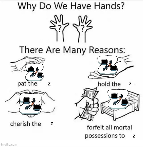 pet the z, hold it, FORFEIT ALL MORTAL POSSESSIONS TO Z | z; z; z; z | image tagged in why do we have hands all blank,z,alphabet lore | made w/ Imgflip meme maker