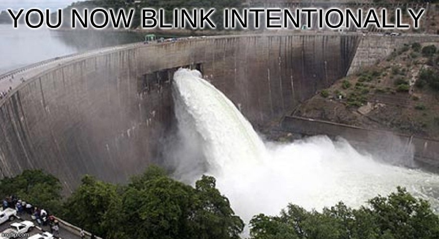 L | YOU NOW BLINK INTENTIONALLY | image tagged in not racist but dam | made w/ Imgflip meme maker