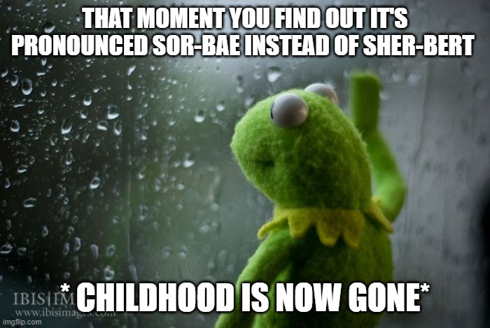 Sorbet T-T | THAT MOMENT YOU FIND OUT IT'S PRONOUNCED SOR-BAE INSTEAD OF SHER-BERT; * CHILDHOOD IS NOW GONE* | image tagged in kermit window | made w/ Imgflip meme maker