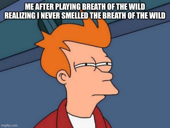 Futurama Fry | ME AFTER PLAYING BREATH OF THE WILD REALIZING I NEVER SMELLED THE BREATH OF THE WILD | image tagged in memes,futurama fry,legend of zelda | made w/ Imgflip meme maker