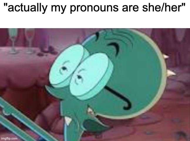 Stickler | "actually my pronouns are she/her" | image tagged in stickler | made w/ Imgflip meme maker