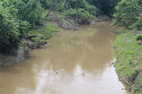 High Quality Muddy River Blank Meme Template