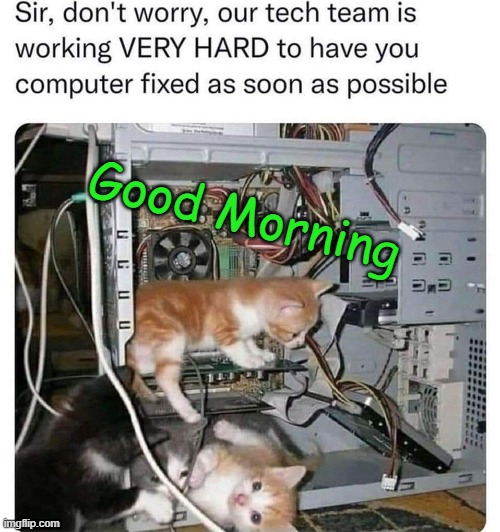 Good Morning | image tagged in good morning,kittens | made w/ Imgflip meme maker