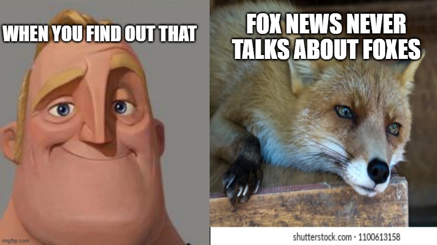 thats sad bro |  WHEN YOU FIND OUT THAT; FOX NEWS NEVER TALKS ABOUT FOXES | image tagged in sad,fox,fox news,traumatized mr incredible,funny,so true memes | made w/ Imgflip meme maker