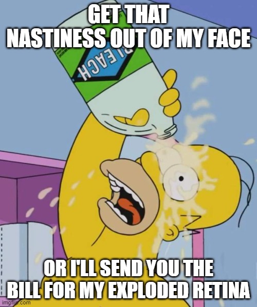 ugly, burns my eyes | GET THAT NASTINESS OUT OF MY FACE; OR I'LL SEND YOU THE BILL FOR MY EXPLODED RETINA | image tagged in homer simpson | made w/ Imgflip meme maker