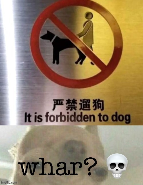 it is forbidden to doge | made w/ Imgflip meme maker