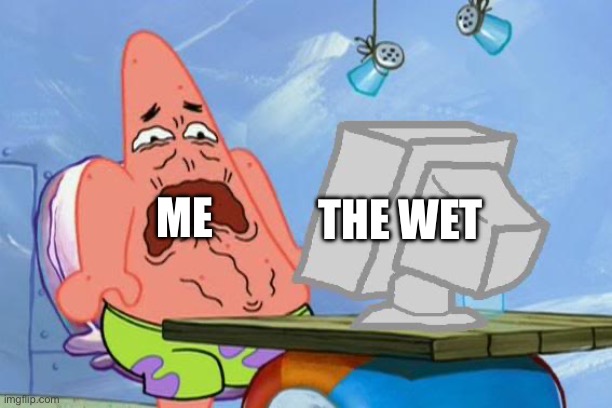 Patrick Star Internet Disgust | ME THE WET | image tagged in patrick star internet disgust | made w/ Imgflip meme maker