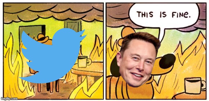 Twitter burning | image tagged in memes,this is fine | made w/ Imgflip meme maker
