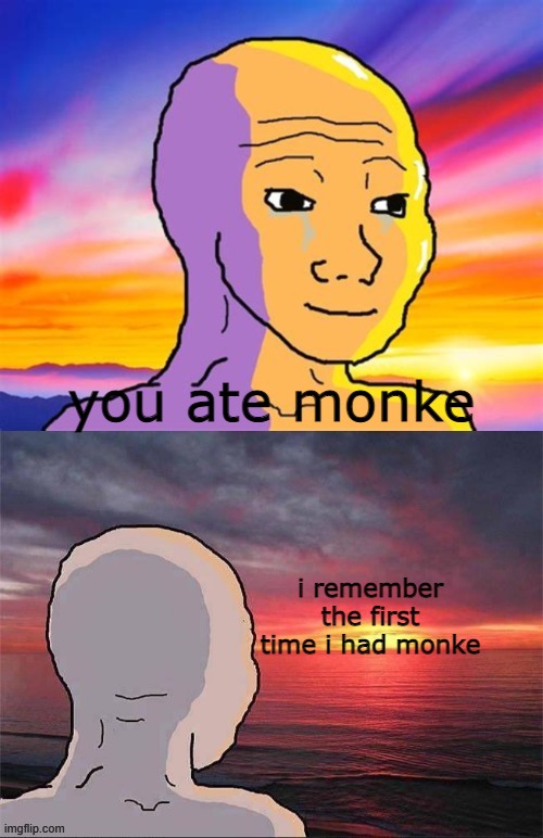 yes | you ate monke; i remember
the first
time i had monke | image tagged in wojak nostalgia,relatable,funniest memes,monke | made w/ Imgflip meme maker