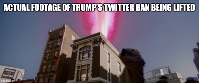 Twitter Ban | ACTUAL FOOTAGE OF TRUMP’S TWITTER BAN BEING LIFTED | image tagged in elon musk,twitter | made w/ Imgflip meme maker