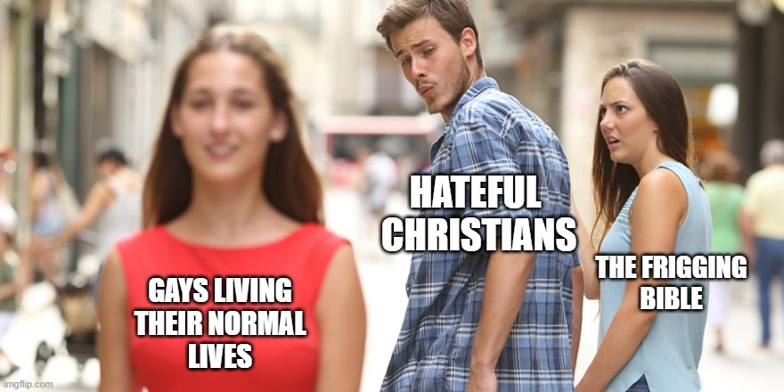 Gays Living | HATEFUL 
CHRISTIANS; THE FRIGGING
BIBLE; GAYS LIVING
THEIR NORMAL
LIVES | image tagged in meme,funny,gay | made w/ Imgflip meme maker