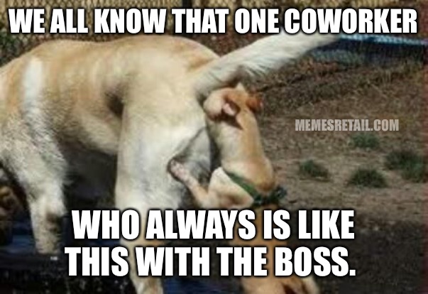 That one coworker | WE ALL KNOW THAT ONE COWORKER; MEMESRETAIL.COM; WHO ALWAYS IS LIKE THIS WITH THE BOSS. | image tagged in brown noser | made w/ Imgflip meme maker